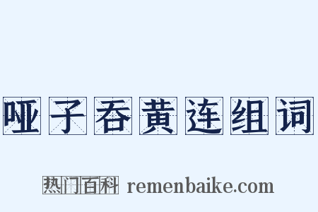 哑子吞黄连组词是什么意思的图片